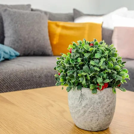 Diekster - Erdgeschoss 2 Appartamento *